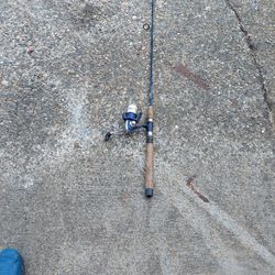 Lamiglas Fishing Rod With Daiwa Reel