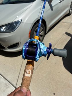 Profishiency Baitcasting Rod and Reel Combo