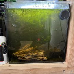 Aquarium and Supplies