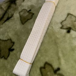 White Belt Karate Taekwondo Jiu-jitsu 