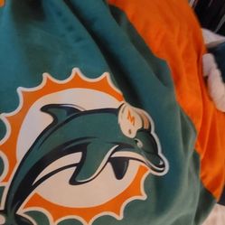 Miami Dolphins Beanbag Chair & Stuffed Dolphin