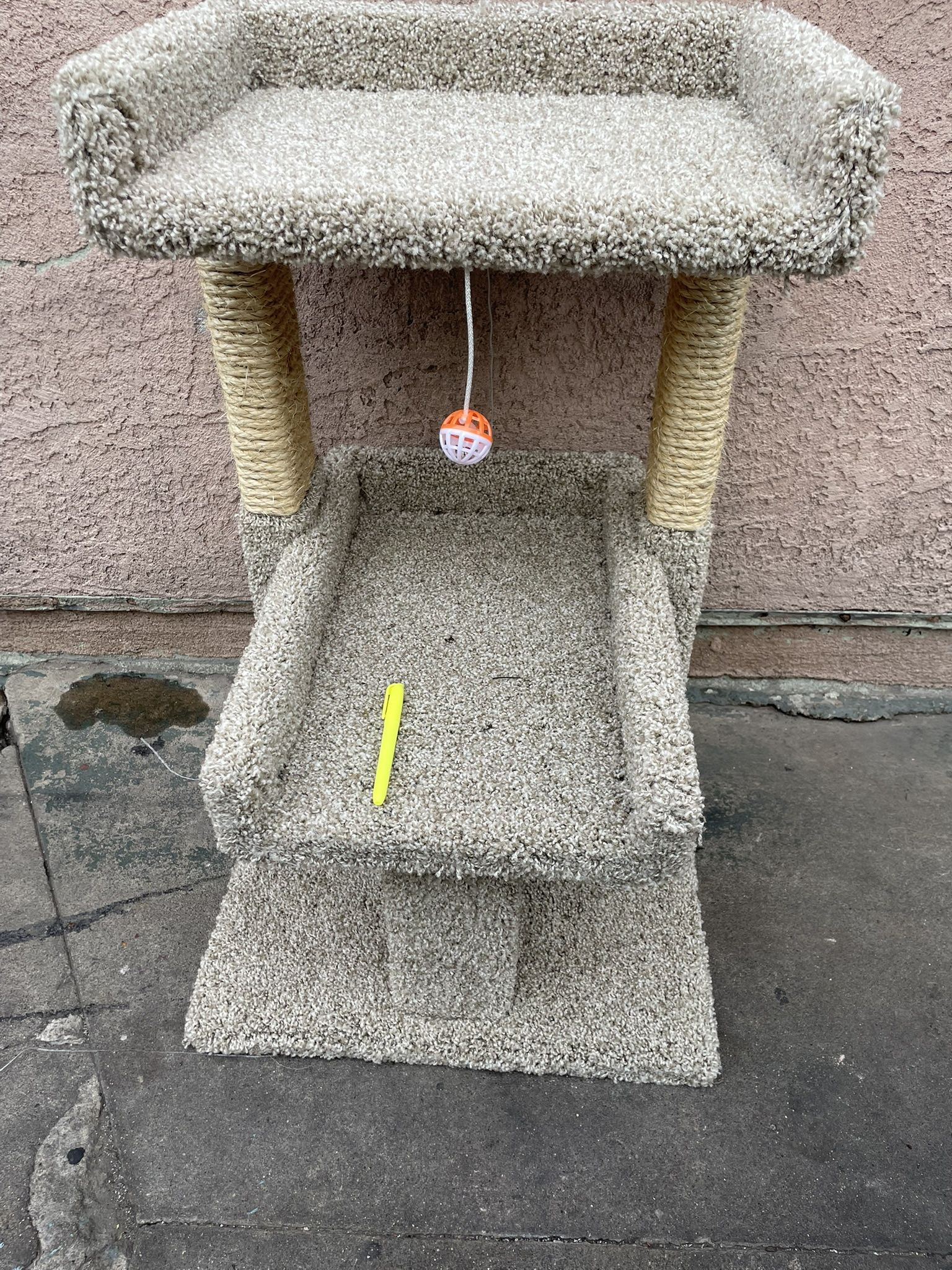 Pets New Condos Beds