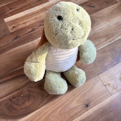 Turtle Plush Warm Buddy!