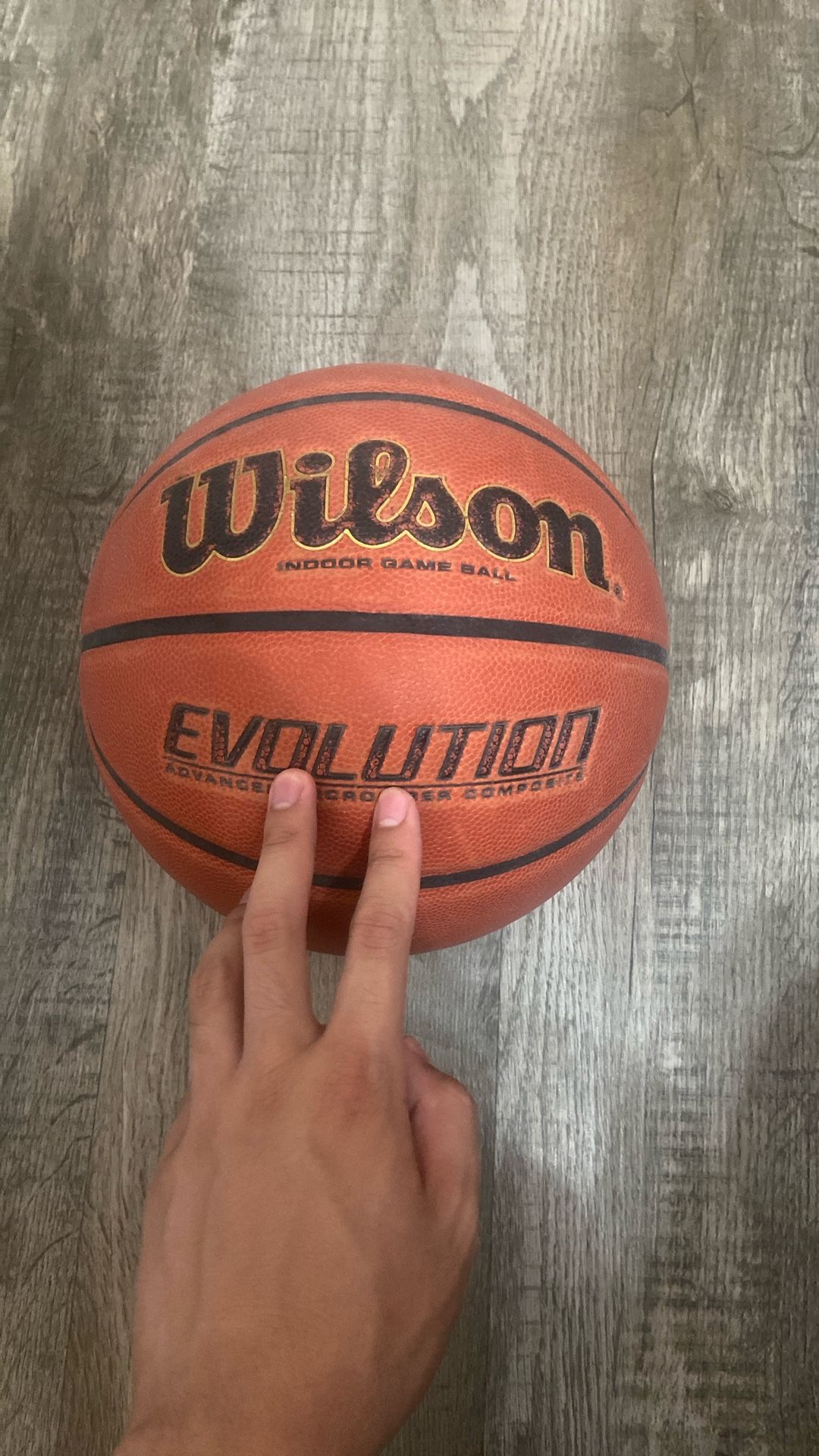 Wilson Evo Basketball