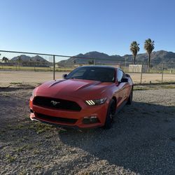 Mustang Ecoboost 2016