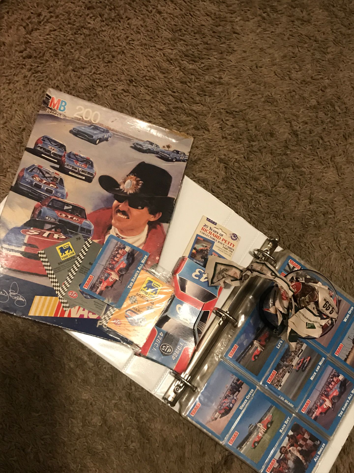 🏁THE KING RICHARD PETTY🏁 lot‼️ 1992 Food Lion Richard Petty Fan Appreciation Tour Cards! 1991 TRAX RICHARD PETTY 20 YEARS OF RACING COLLECTOR CARDS 