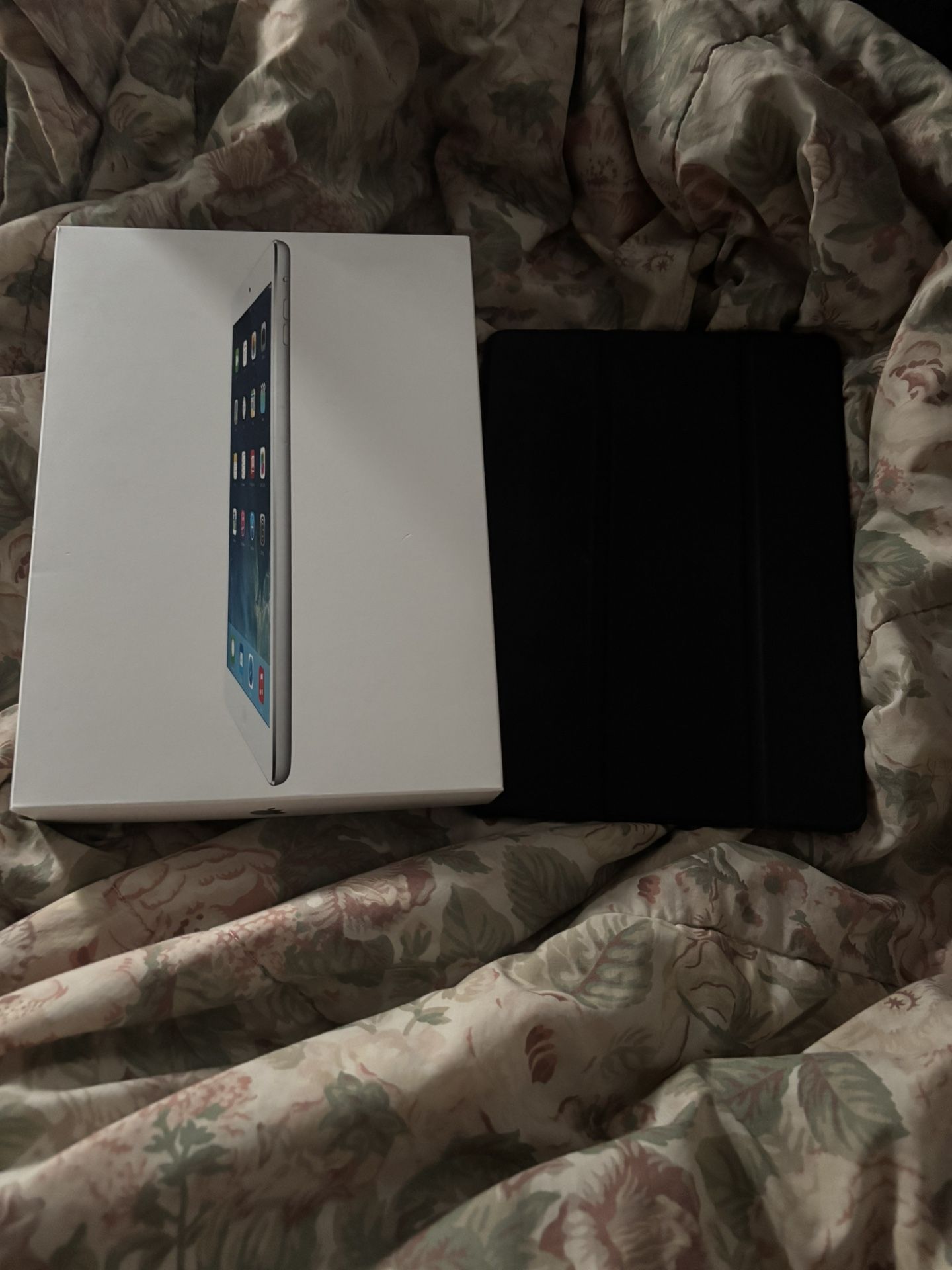 iPad Air 2