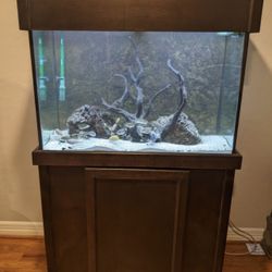 Aquarium 65 Gallon - NEED GONE ASAP! 