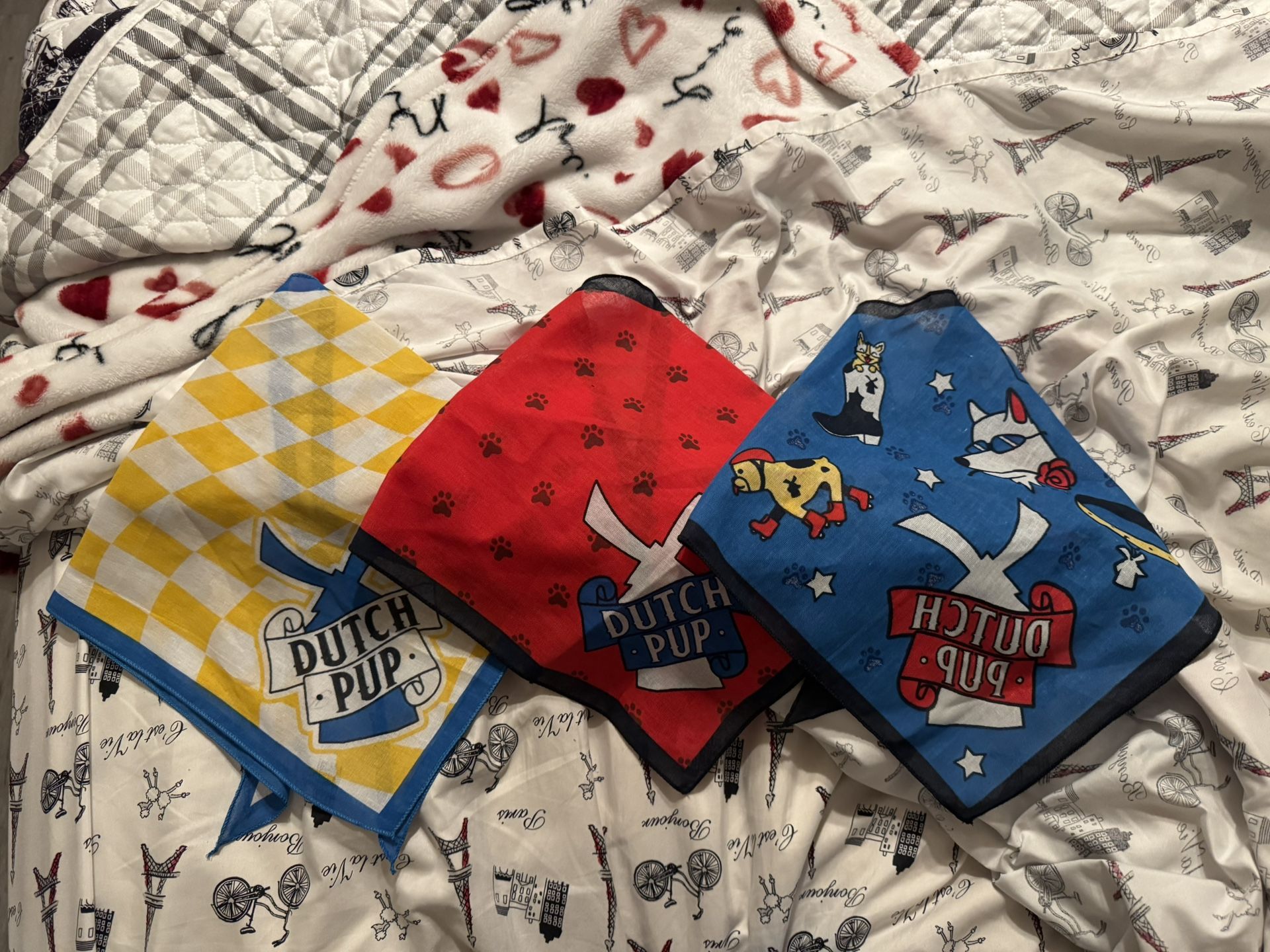 Dutch Bros Dog Bandanas