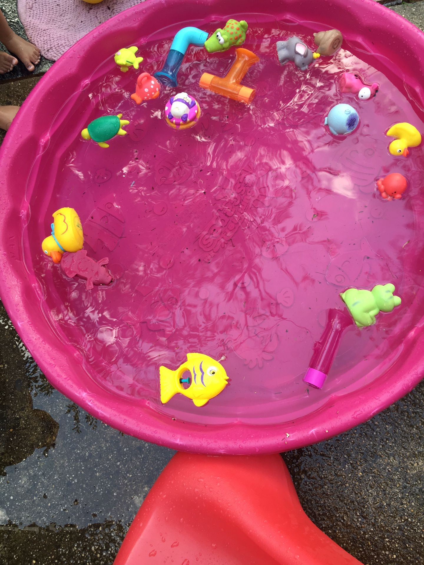 Small pool with toys