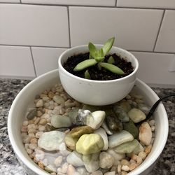 Tabletop Water Fountain