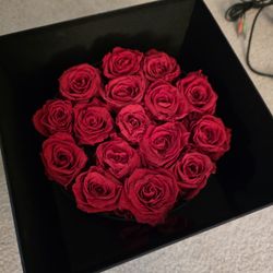 Preserved Live Red Roses 16 Roses Art Display Forecer Roses