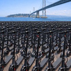 ‏Brand New Electric Scooter – 350W Motor