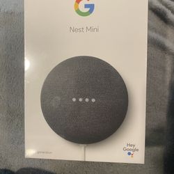 Google Nest Mini