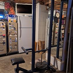 Lat  Seated Overhead Pull Down  With Low Row