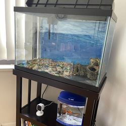 Fish Tank With Stand ++ Aquarium