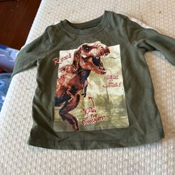 Dinosaur Shirt 