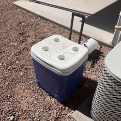 Igloo Cooler. 