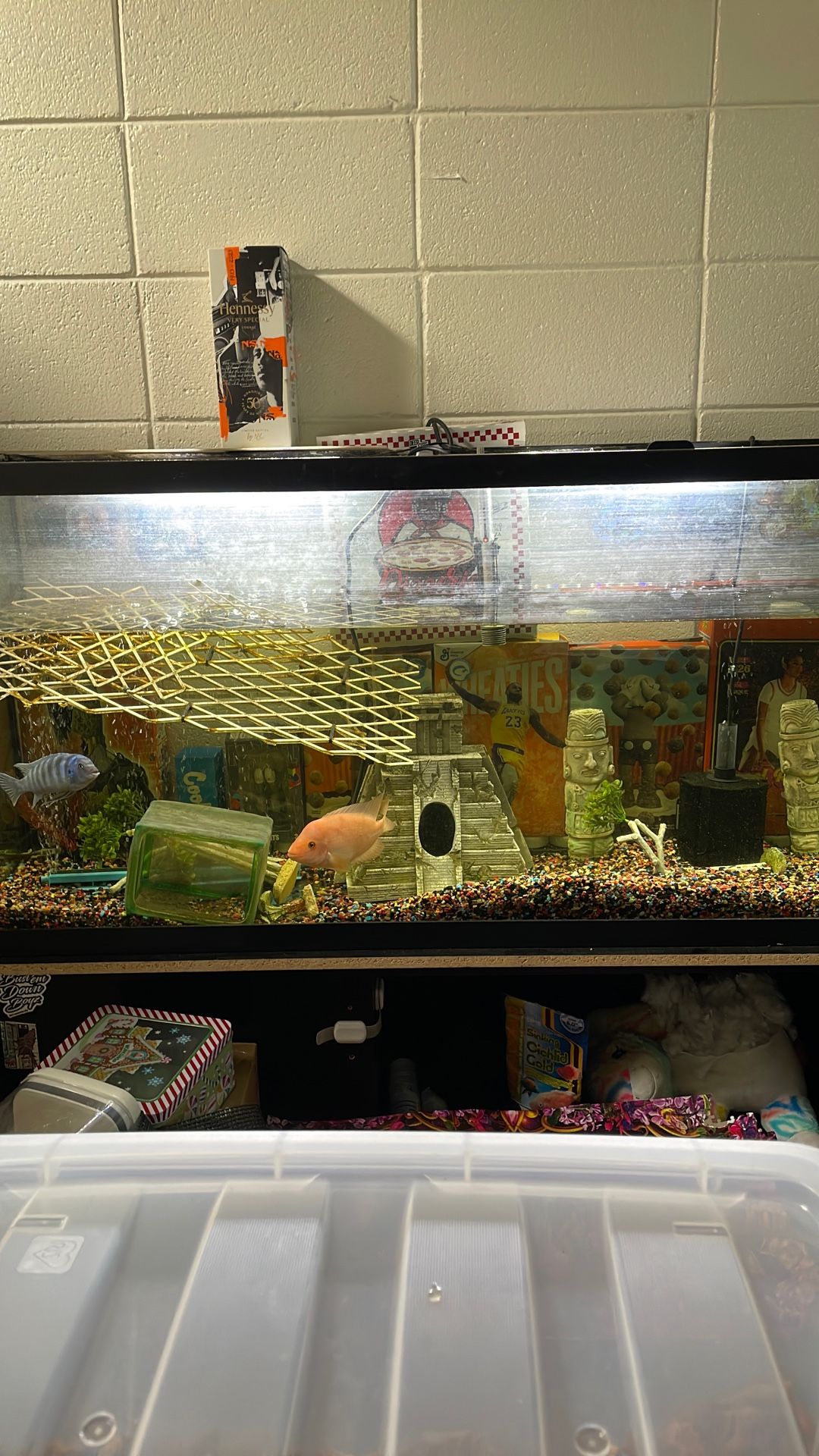 55 Gallon Tank And Stand