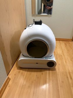 Automatic litter box