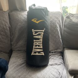 Punching Bag