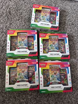 First Partner Series 1