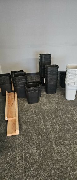 Desk  Trash Cans