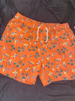 Ralph Lauren Swim Shorts