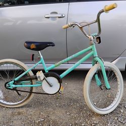 1986 Schwinn Predator Freeform Gs