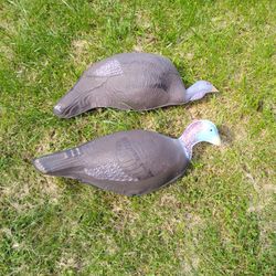 Decoys