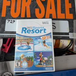 Wii Resort Game 