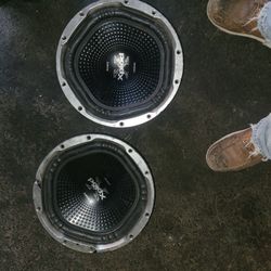Xplod 12" Subwoofers