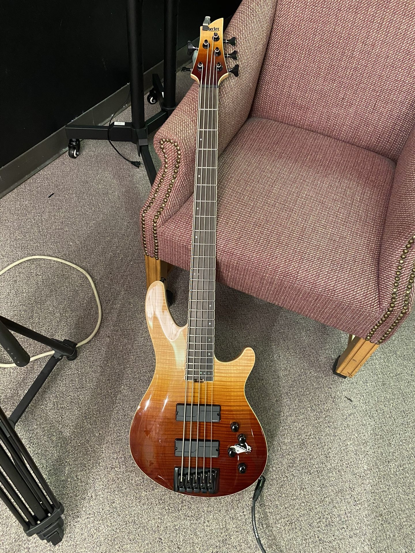 5 String Schecter Sls Elite Bass