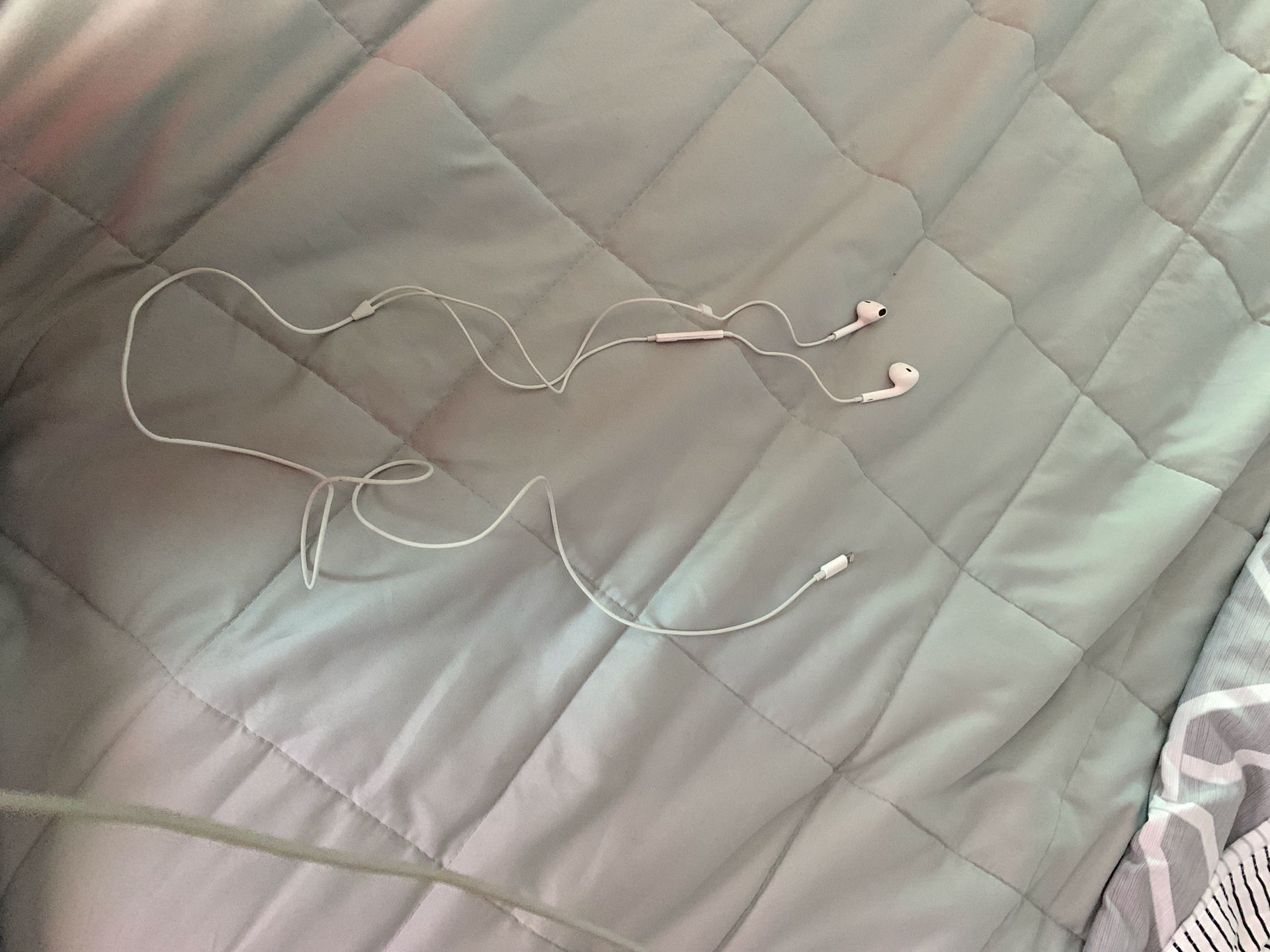 Wired iPhone earbuds