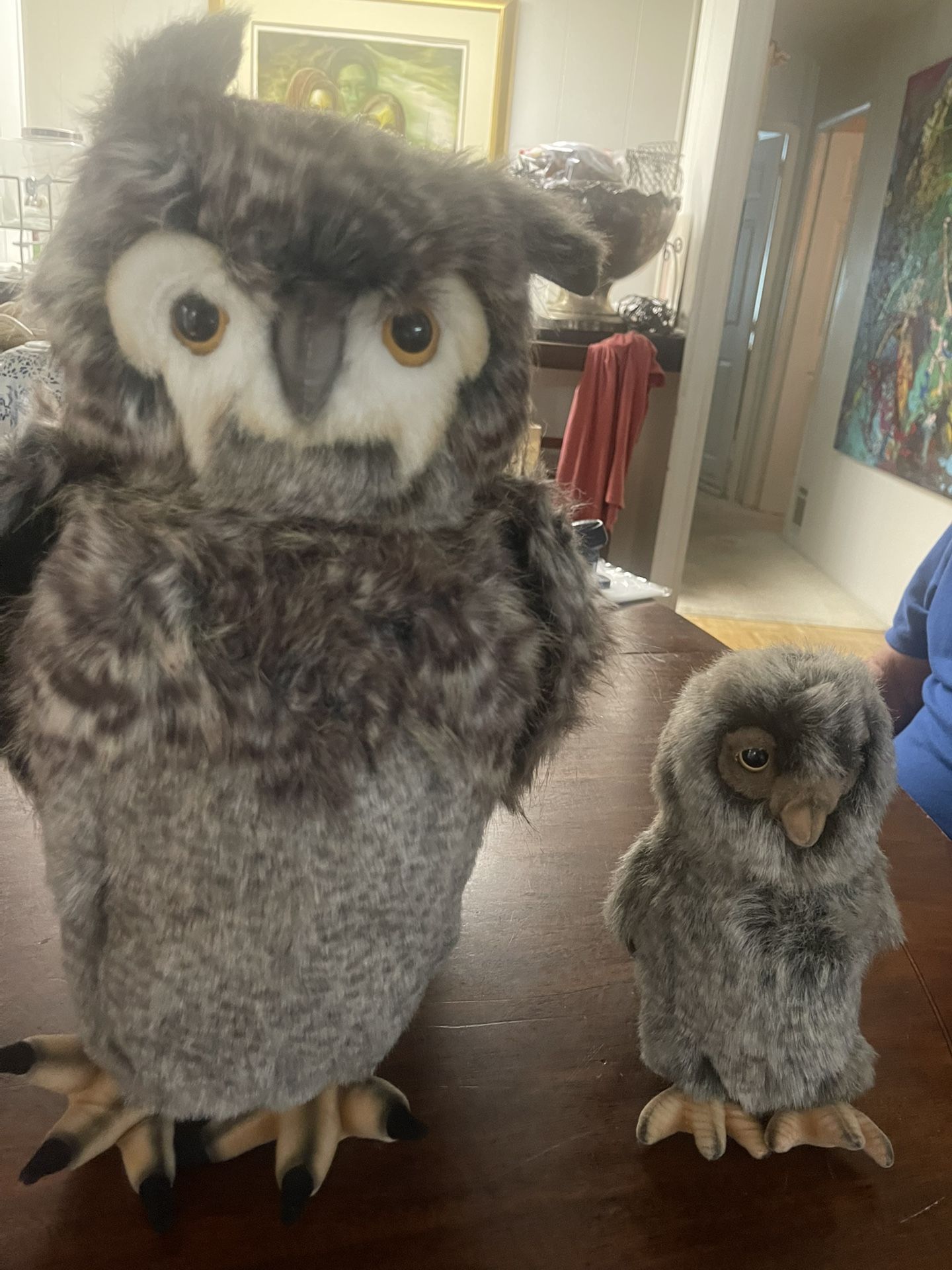 Hands Toy International Plush (2) Owls