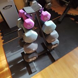 3lb, 10lb, 15lb, And 20lb Neoprene Dumbbells With Rack