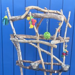 Macaw / Large Parrot Perch Tree… Breeder Direct Low Price! The Great Socializer ! 