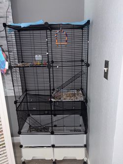 Large bird cage