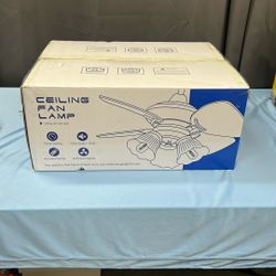 CEILING FAN LAMP
