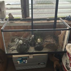 Reptile Tank
