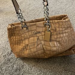 Coach Ashley Carryall Tote