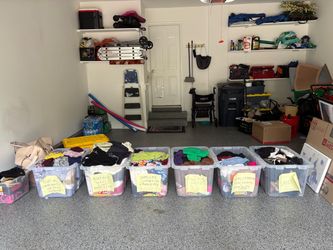 FILL A BAG FOR $50!