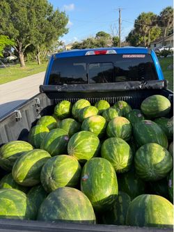 Watermelons fresh with seeds