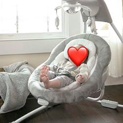 Baby Swing (Ingenuity)