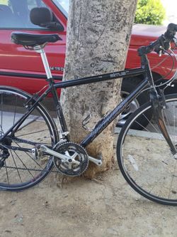 sirrus elite road bike