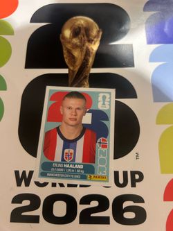 Panini Sticker Erling Haaland