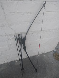 Bow and Arrow Target Practice Set