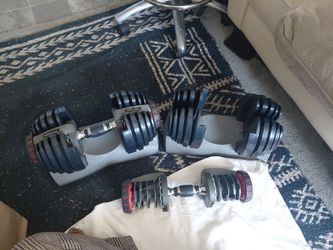 Bowflex Weights