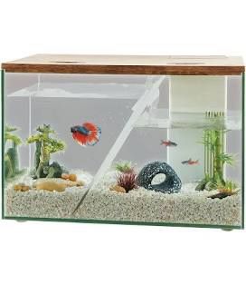 Aquarium