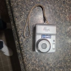 Nikon Color Pixel L4.0